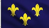 DMSE Blue Fleur De Lis Few French France Royal Flag 3X5 Ft Foot 100% Polyester 100D Flag UV Resistant (3' X 5' Ft Foot)