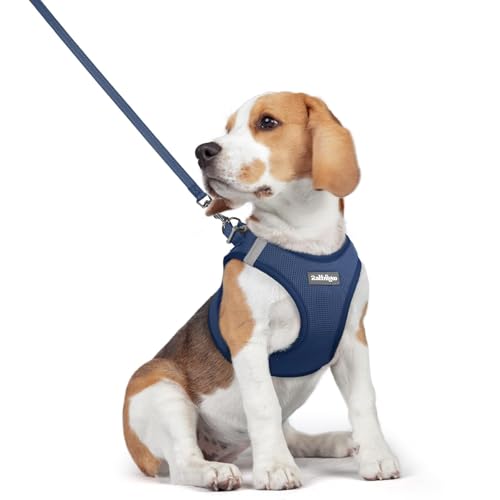 Image of rabbitgoo Dog Harness Medium Sized and Leash Set, Step-in Puppy Pet Vest