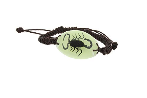 Preisvergleich Produktbild The Bug Store Armband Insekten-Anhänger Skorpion Schwarz