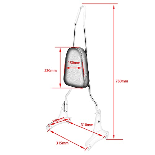 FENGREN Detachable Passenger Sissy Bar