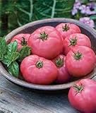 tomate rosa de barbastro cultivo El crecimiento depende de las condiciones del suelo y del clima.