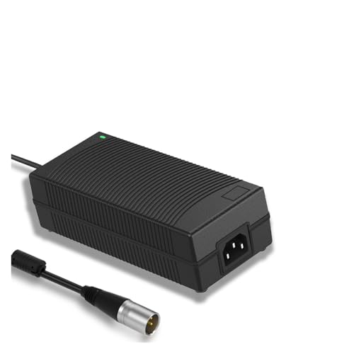 Adaptateur secteur 21V 11A 230W chargeur alimentation batterie externe