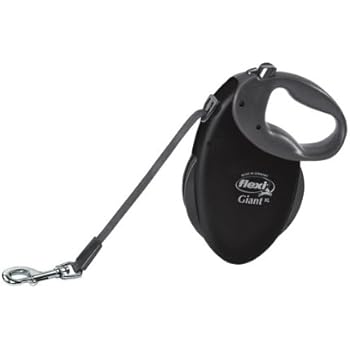 hollywood feed fromm