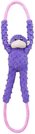 Monkey Purple Dog Toy