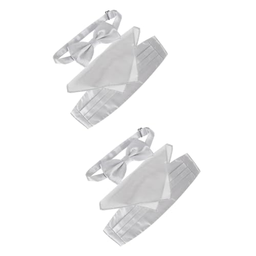 Set de 2 Corbatas de Moño Elegantes para Hombre