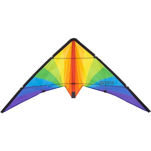 HQ Design Ecoline Quick Lenkdrachen Zweileiner Flugdrachen für Erwachsene und Kinder ab 8 Jahren, 56x115cm, inkl. 17kp Polyesterschnüre 2x30m auf Spulen, 2-5 Bft (Rainbow)