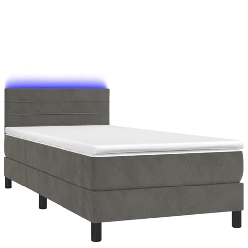 Genérico Wenjingqi Cama Box Spring colchón y LED Terciopelo Gris Oscuro 80x200 cm, Gris 3134430