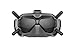 DJI FPV Goggles