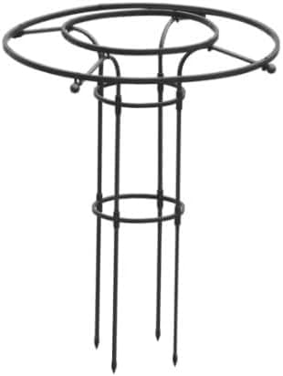 Marco soporte for plantas de exterior con enrejado de jardín vertical