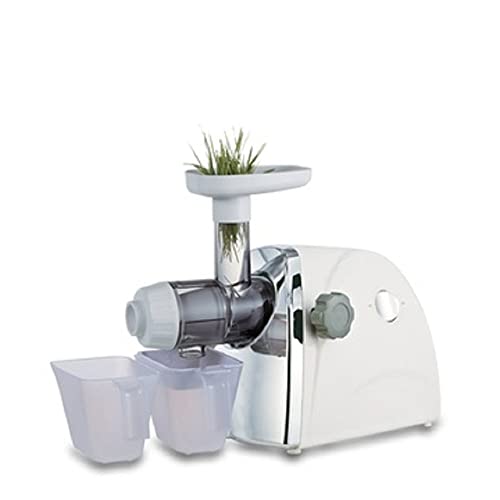 Horizontal Single Auger Slow Masticating Juicer Extractor Fruit Vegetable Wheatgrass Orange Juice Extractor Cold Press Juicer Machine with Quiet Motor & Easy Cleaning