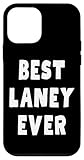 Fácil instalación Carcasa para iPhone 12 mini Mejor Laney de todos los tiempos