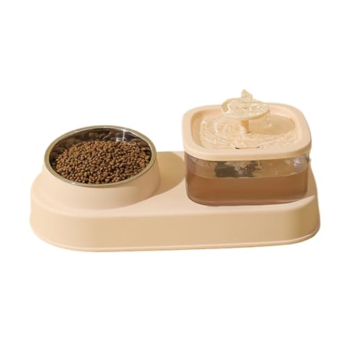 Alimentador de gatos senior y kit de alimentación de agua para cachorros 8