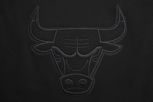 Image of Pro Standard Mens NBA Neutral Pull Over Hoodie