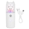 30 ml Facial Mist Sprayer, USB Oplaadbare Gezicht Hydraterende Spray Handheld Hydrating Sprayer voor Huidverzorging