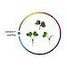 AeroFarms, Microgreens Super Mix Hearty Kale Cabbage Conventional, 2 Ounce