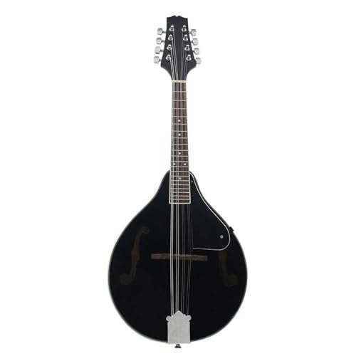 vtFbVi[tHjA }h 8 `xbgy }h oXEbh y(Black)