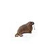Schleich Wild Life, Animal Figurine, Animal Toys for Boys and Girls 3-8 Years Old, Walrus