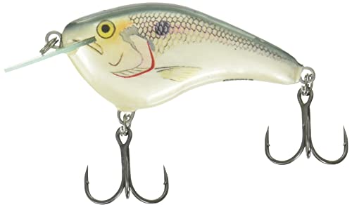 Rapala Ott's Garage Slim 06 Shad