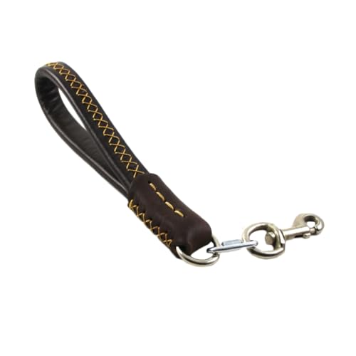 BESPORTBLE 25cm Pet Traction Rope Dog Cat Pulling Leash Pu for Long-Lasting Use Fashion Statement