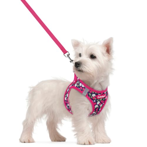 Image of rabbitgoo Dog Harness Small Sized and Leash Set, Step-in Puppy Pet Vest