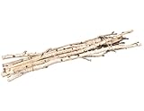 NaDeco