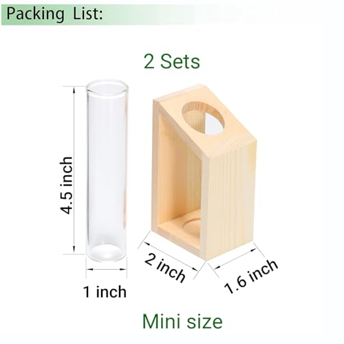 Propagation Station, Plants Terrarium, Plants Lover Gifts for Women,Plant Cutting Holder Home décor,Gifts for Women,House Warming New Home-2 Tubes-Beige