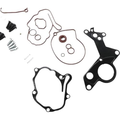Kit de reparación de bomba de vacío compatible con Beetle Tdi Bew BRM Bhw miniatura 6
