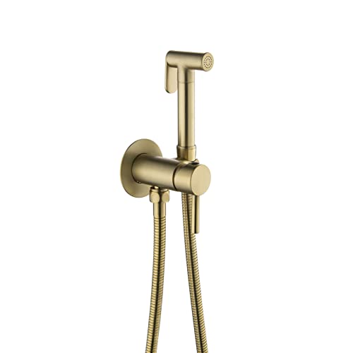 Robinet pulvérisateur toilettes eau chaude et froide mural en laiton chrome