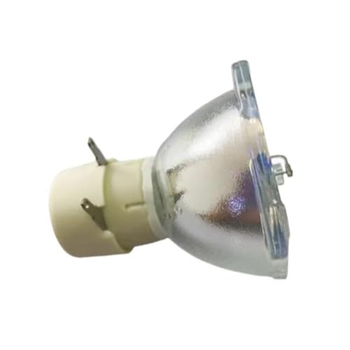 Ampoule de projecteur 5J J5405.001 pour des soirées cinéma réussies