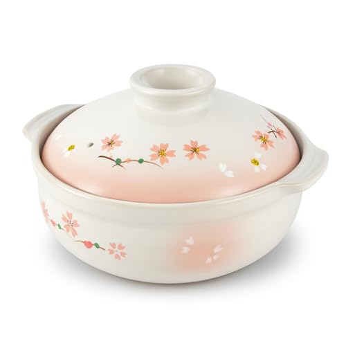 JapanBargain Clay Pot 9.25 Inch