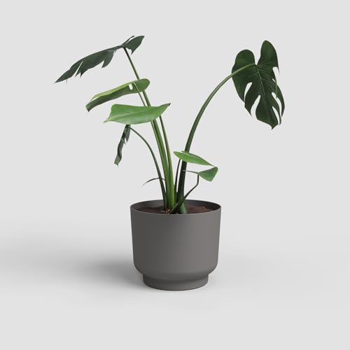 Artevasi Blumentopf Miami 20cm Anthrazit – Moderner Übertopf aus recyceltem Kunststoff mit Matter Oberfläche – dekorativer Pflanztopf