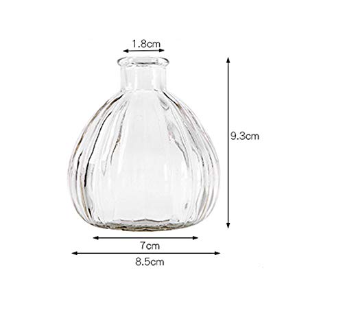 Vipolish 1Pcs Empty Clear Glass Diffuser Bottle Aromatherapy Diffuser Jar Container Decorative Vase Fragrance Accessories Use For Diy Replacement Reed Diffuser Sets Essential Oils Craft Decor #TOP3
