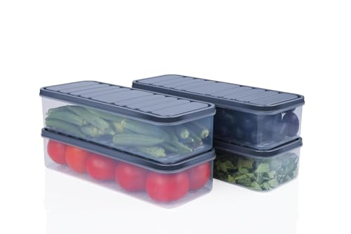 Image of TEKCOOL Air Tight Plastic Storage Containers Set for Kitchen | Pantry Organizers Kitchen Accessories Items,Fridge Storage Boxes | Leak-Proof, Durable, and Space-Saving (4, 2500ml) (1200 ML, 4)