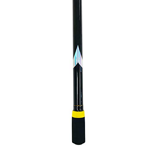 Eatmytackle 2 Piece Surf Fishing Rod - 10 Ft. | Black Magic 20-40 Lb. #TOP6
