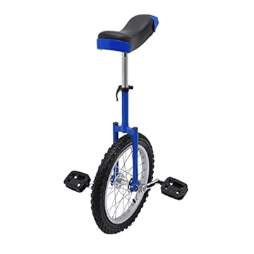 unicycle with training wheels