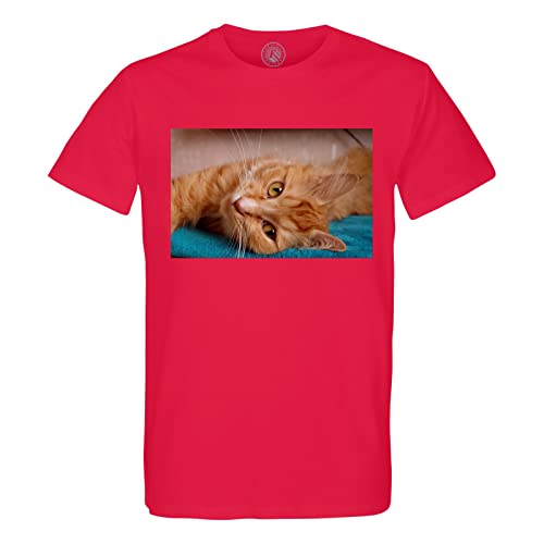 T-Shirt Chat Roux Tigré Homme Coton Bio Col Rond Motif Animaux Serviette Bleu
