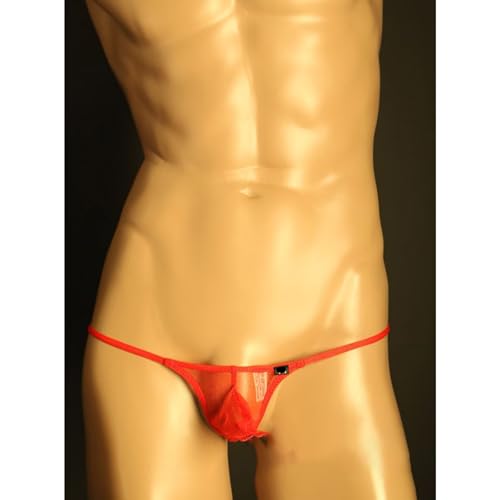 Men's Mesh See-Through Thong G-String Bikini Underwear with Pouch, Breathable Low-Waist Underpants for Men2