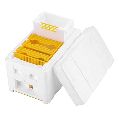 Baoblaze Honig Bienenstock Beehive Super Bienenkasten Imkerei – Bild 4