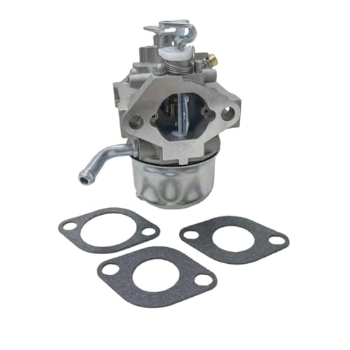 Carburateur W521 W6021 pour entretenir votre grand jardin en Kr518