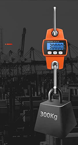 Báscula digital colgante mini LCD 300KG acero inoxidable miniatura 2