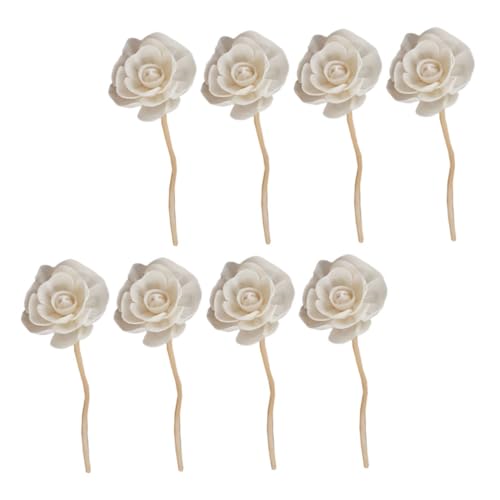 RORPOIR 8{ ^ \ t[ xbh[ A} fBt[U[ ANZT[ X XeBbN A} fBt[U[  ??t[ XeB