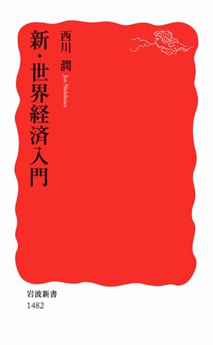 新・世界経済入門 (岩波新書)