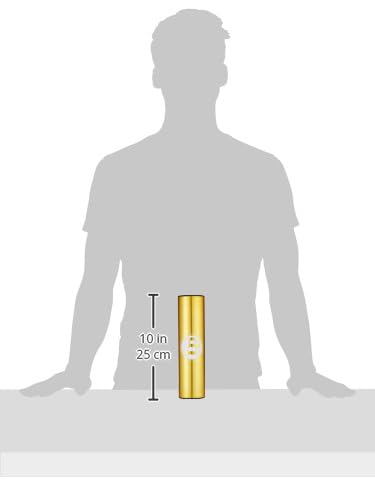 Amazon.com: Latin Percussion LP462 Rock Shaker Gold : Musical