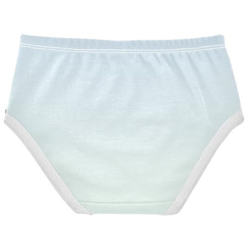 Joisal Cotton Toddler Girls Underwear Ombre Cyan Blue Gradient Panties Little Girl Print Kids Undies Briefs 2t2