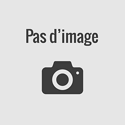 Serrure à pêne dormant et demi tour 2560 pour portail coffre à 57 mm axe à 42 mm