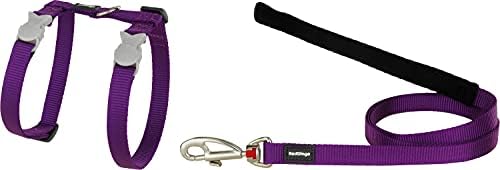 Red Dingo Classic Cat Harness and Lead Combo, Purple