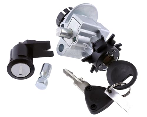 2extreme Serrure d'allumage compatible pour Peugeot Trekker 50, Vivacity 100 2T AC, Vivacity 50