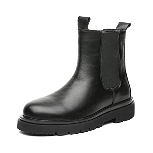 [SEINIES]  `FV[u[c TChSA Y V[g AN Xgbvt ₷ ₷ ϖ ~ ϊ Ȑ _炩 tBbg nCJbg JWAV[Y H~ {At  ۉ