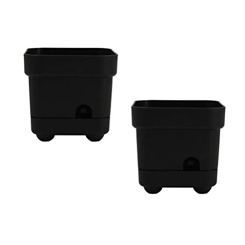 Yardwe 2 UNIDS Maceta de plástico Cuadrada para macetas suculentas Maceta pequeña para decoración de bonsáis de jardín 4.5 x 3.5 x 4.3 Pulgadas (Negro)
