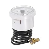 FRCOLOR Manómetro de Presión de Agua para Caldera Mural de Calefacción por Suelo Radiante, Accesorio Repuesto Bloqueo 4 Bar (6 Mm Tapón), Resistente a Altas Temperaturas, Fácil